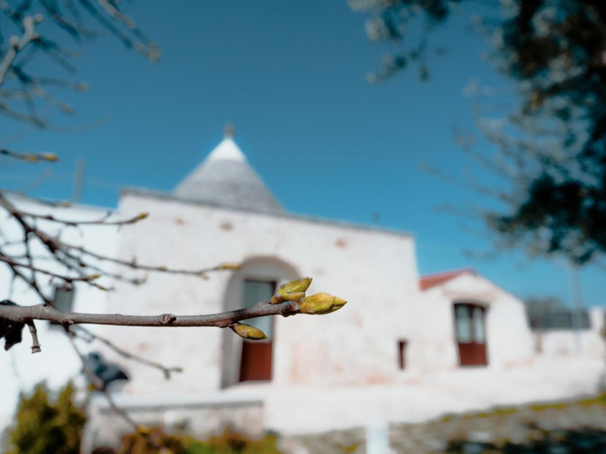 Rifugio Di Puglia - Trulli & Dimore Alberobello Exteriör bild